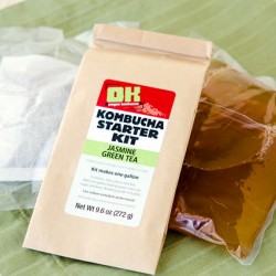 Link to Foody Friday: Kombucha Kit